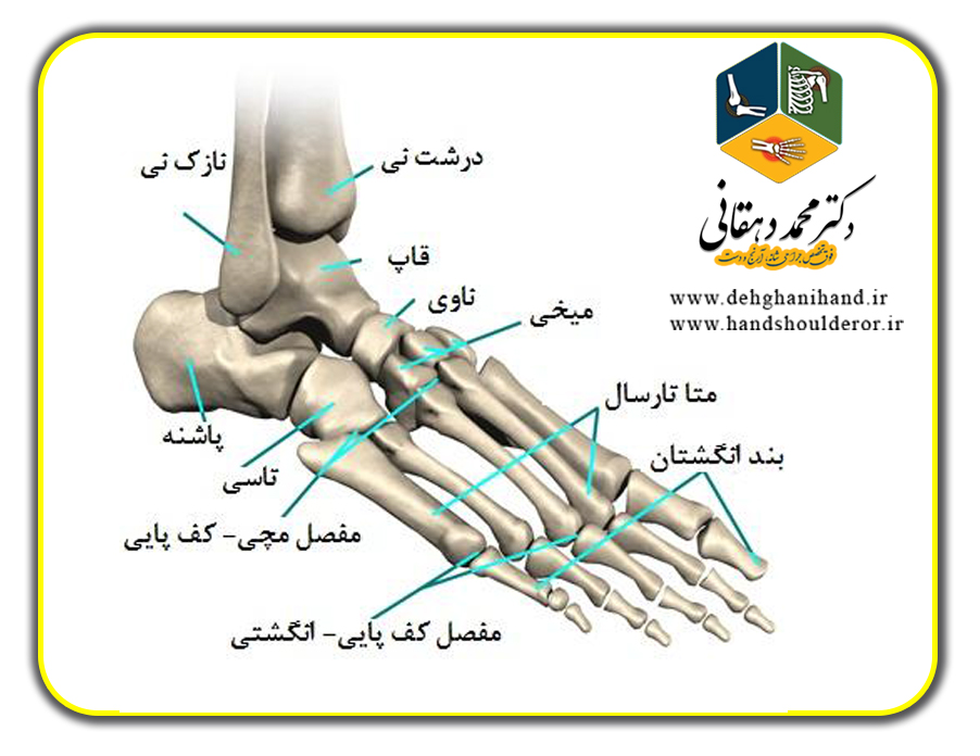 جراحی شانه، دکتر محمد دهقانی، جراح دست دراصفهان، فوق تخصص جراحی دست، جراحی دست، دکترمحمددهقانی ارتوپد در اصفهان